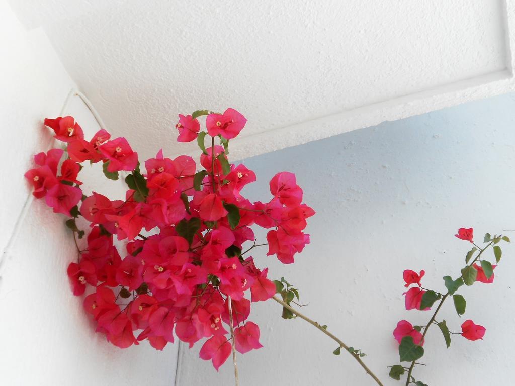 Aggela Guesthouse Skopelos Exterior foto